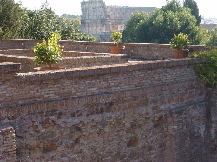 Colosseum from Ruins.JPG